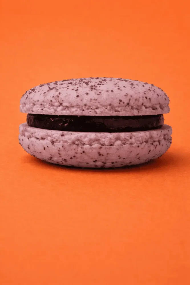Macaron Cassis Sureau