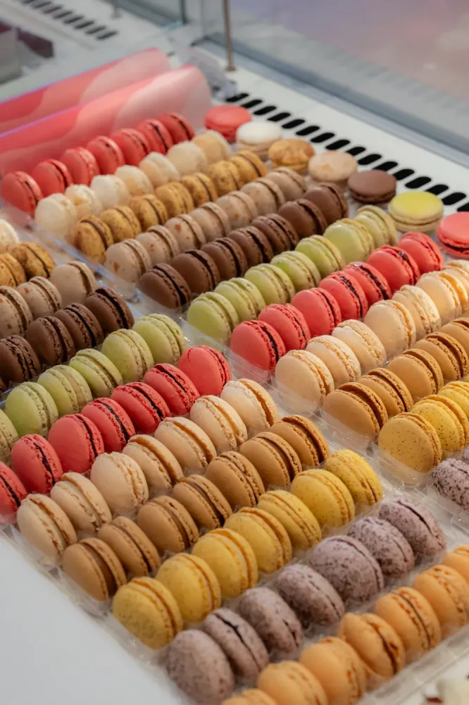 NUANCES012026_@leboncliche-63